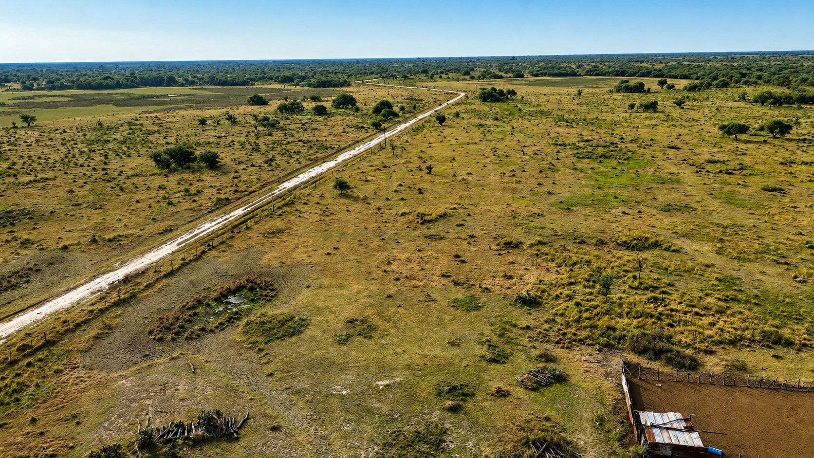 campo
